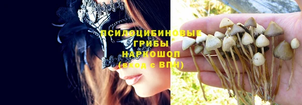 бутират Майский