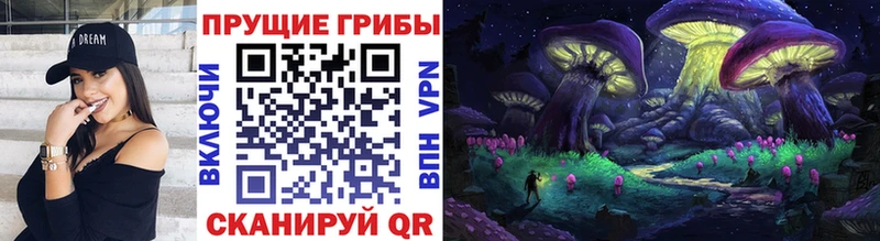 blacksprut зеркало  Называевск  Псилоцибиновые грибы Magic Shrooms 